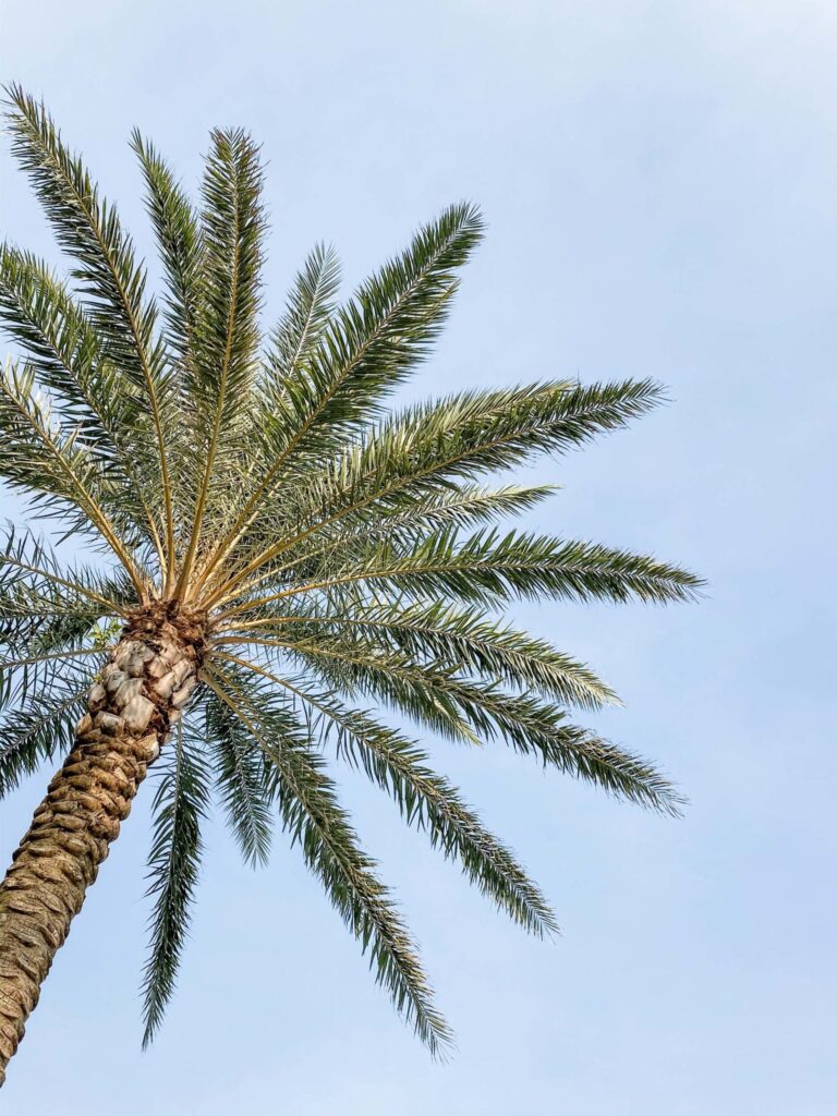 Tips for capturing all the beauty in your travels